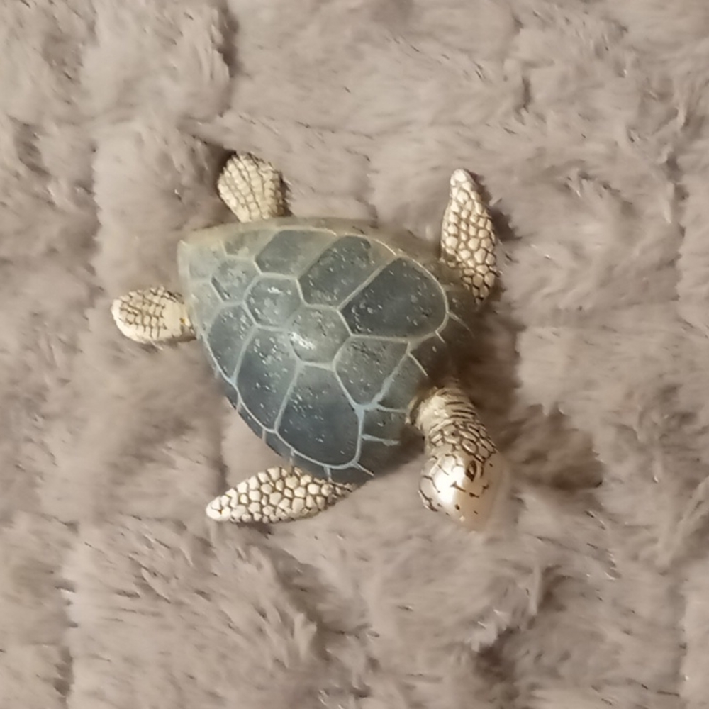 Turtle